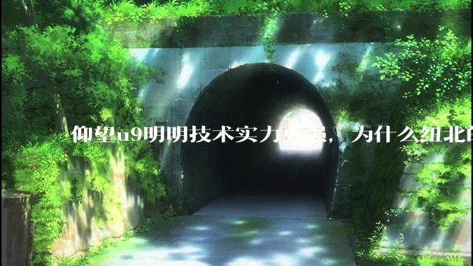 仰望u9明明技术实力更强，为什么纽北的成绩没有小米su7ultra好？