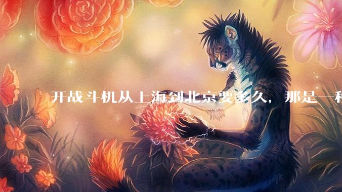 开战斗机从上海到北京要多久，那是一种什么样的体验？