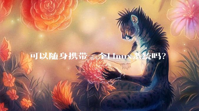 可以随身携带一个Linux系统吗？